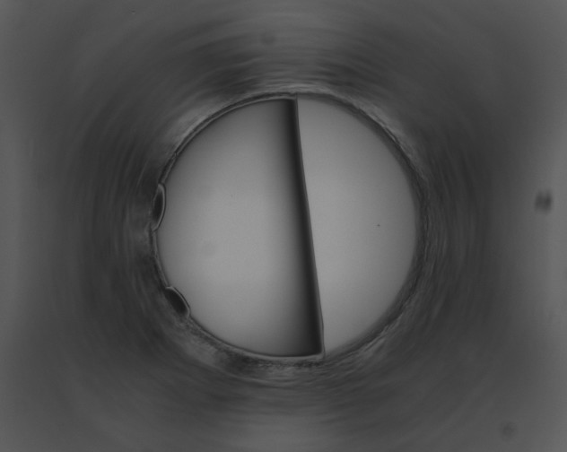 X0000091541273200708311324