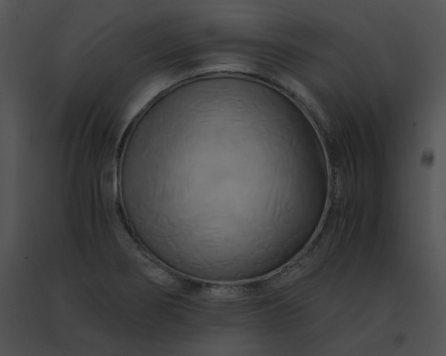 X0000091541274200708311324
