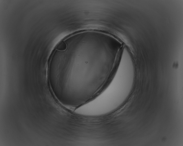 X0000091541275200708311324