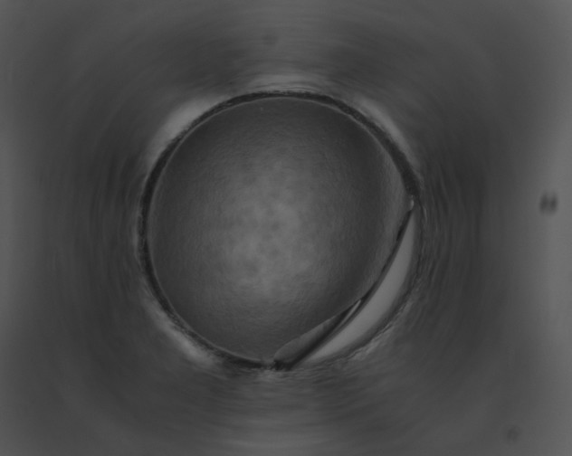 X0000091541277200708311324