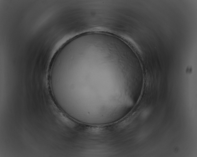 X0000091541278200708311324