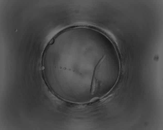X0000091541279200708311324