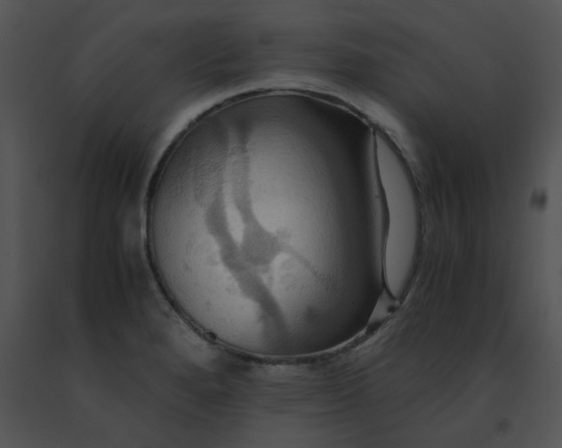 X0000091541280200708311324