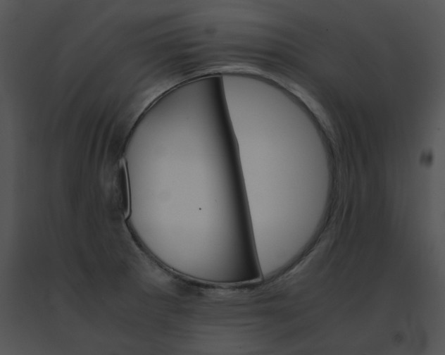 X0000091541281200708311324