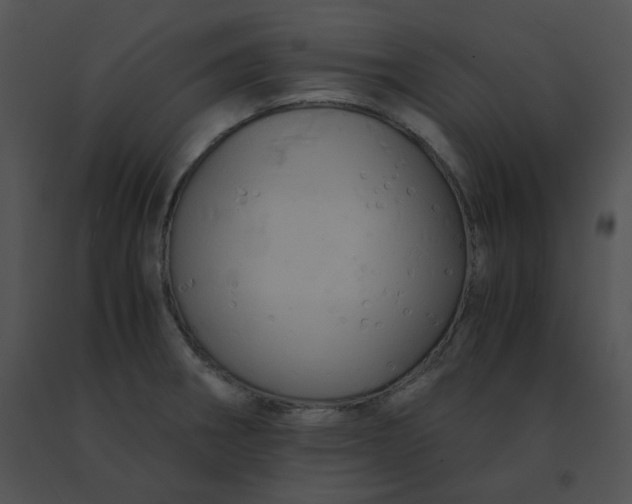 X0000091541282200708311324