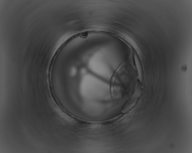 X0000091541283200708311324