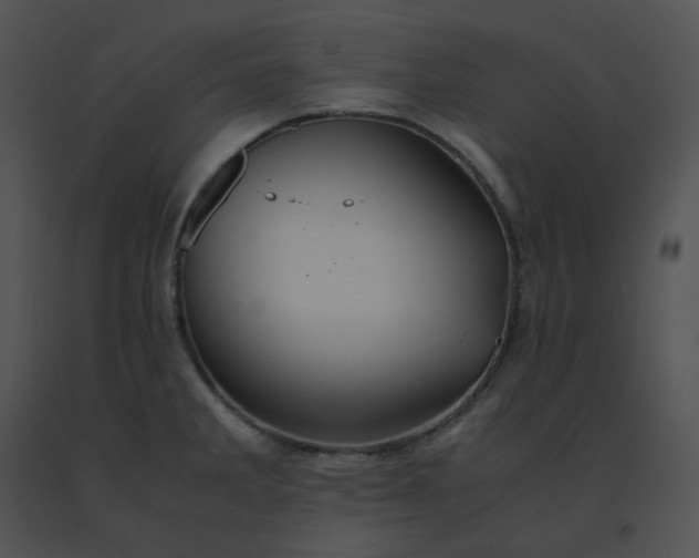 X0000091541285200708311324