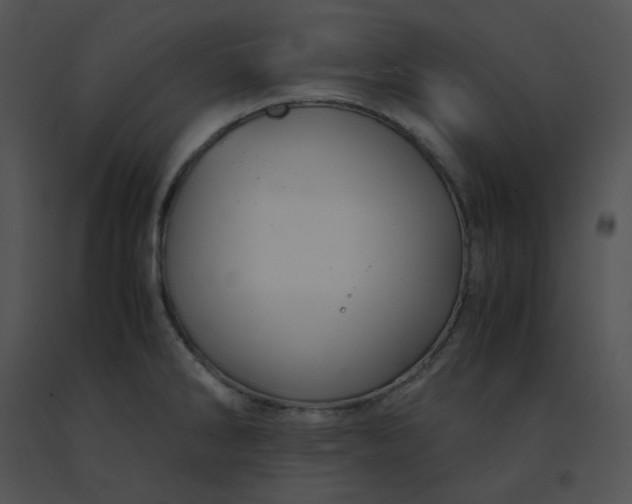 X0000091541286200708311324