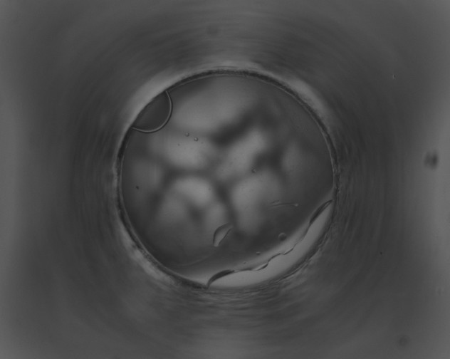 X0000091541287200708311324