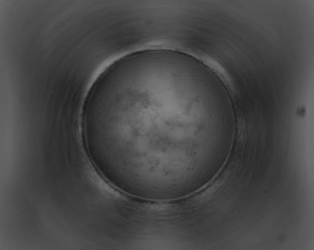 X0000091541288200708311324