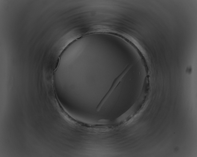 X0000091541289200708311324