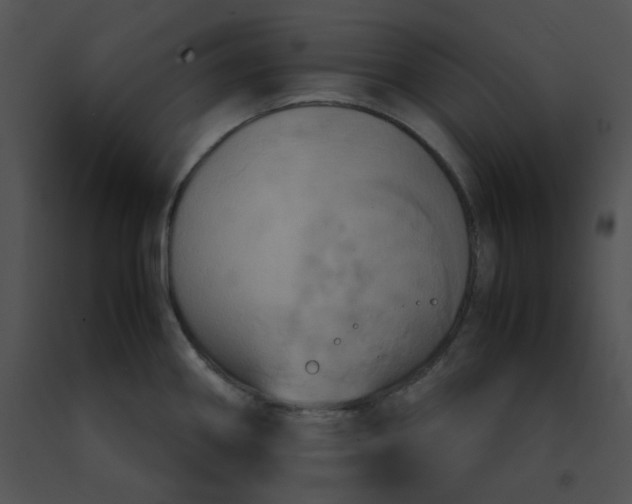 X0000091541290200708311323
