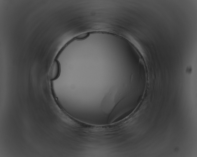 X0000091541291200708311323