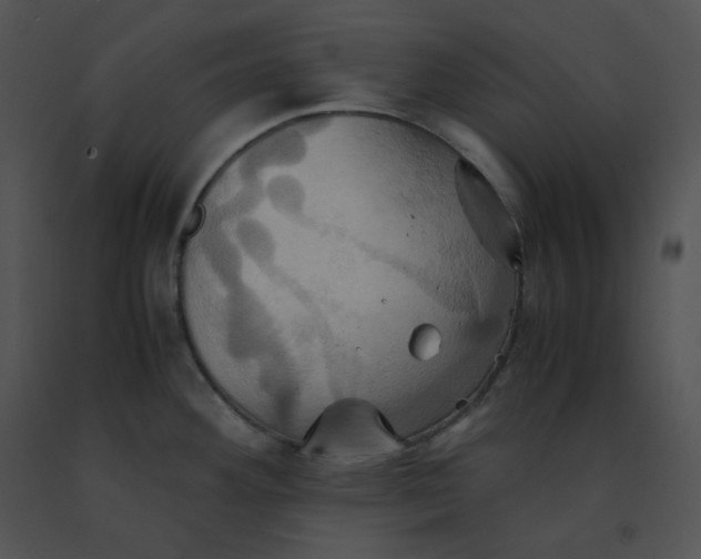 X0000091541292200708311323