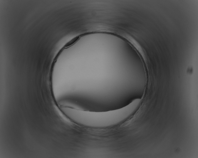 X0000091541293200708311323