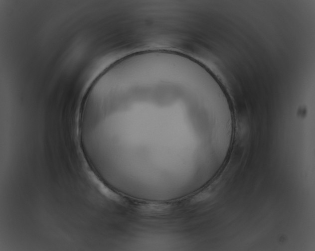 X0000091541294200708311323