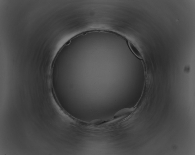 X0000091541295200708311323