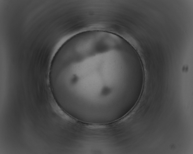 X0000091541296200708311323