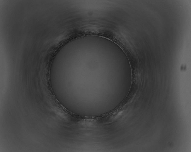 X0000091541297200708311323