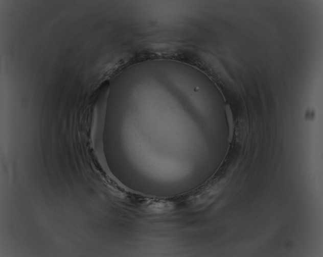 X0000091541298200708311323