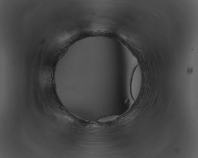 X0000091541300200708311323