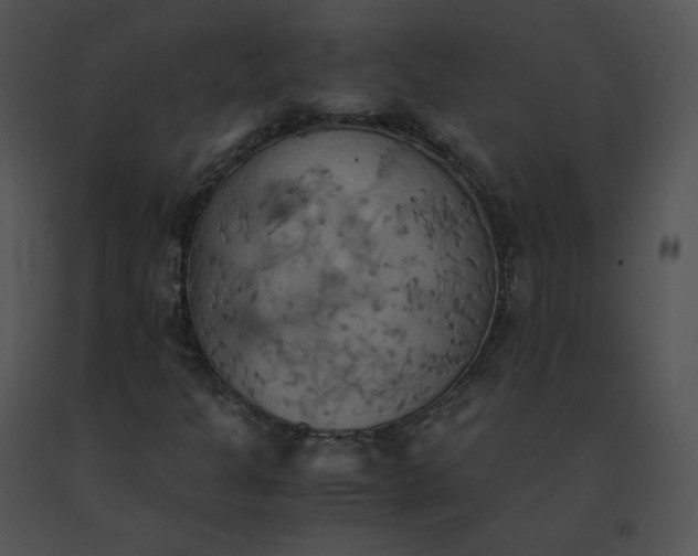 X0000091541301200708311323