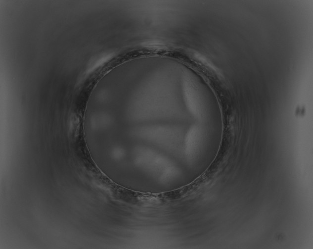 X0000091541302200708311323