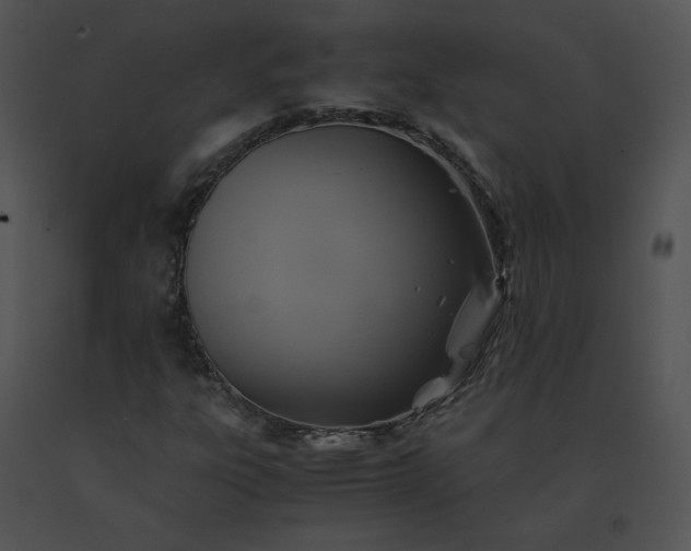 X0000091541303200708311323
