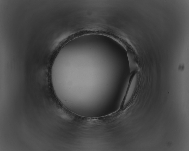 X0000091541304200708311323
