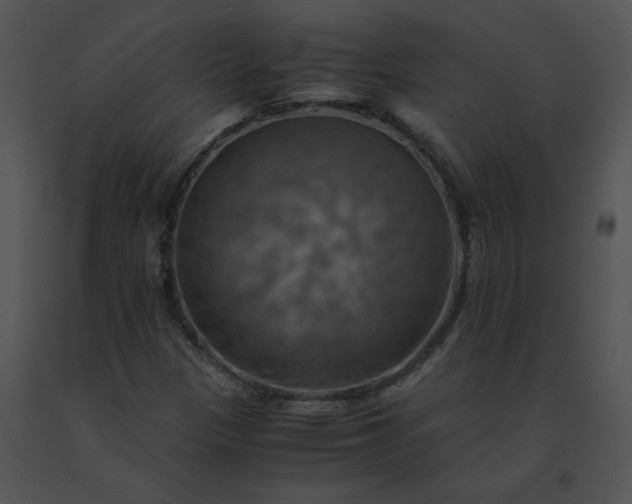 X0000091541305200708311323