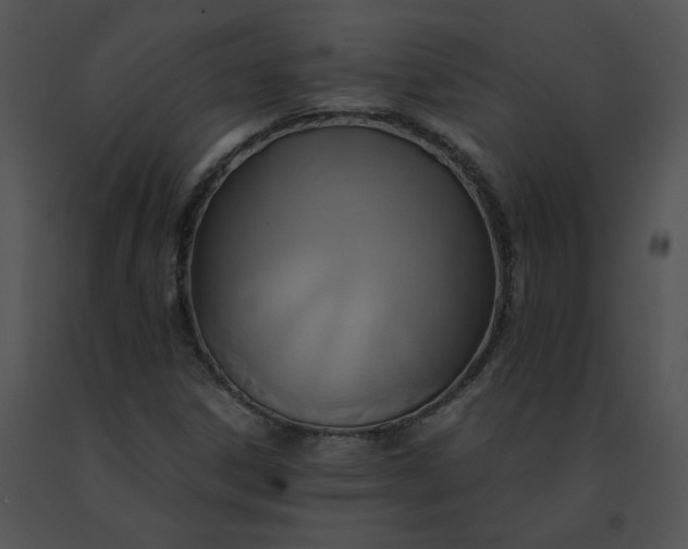 X0000091541306200708311323