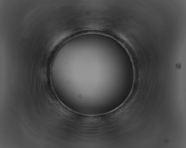 X0000091541307200708311323
