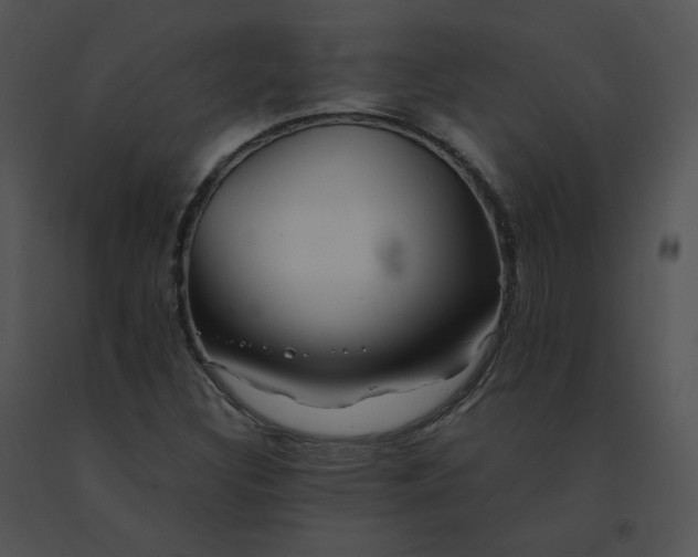 X0000091541308200708311323