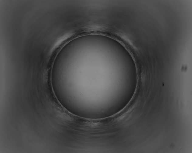 X0000091541309200708311323
