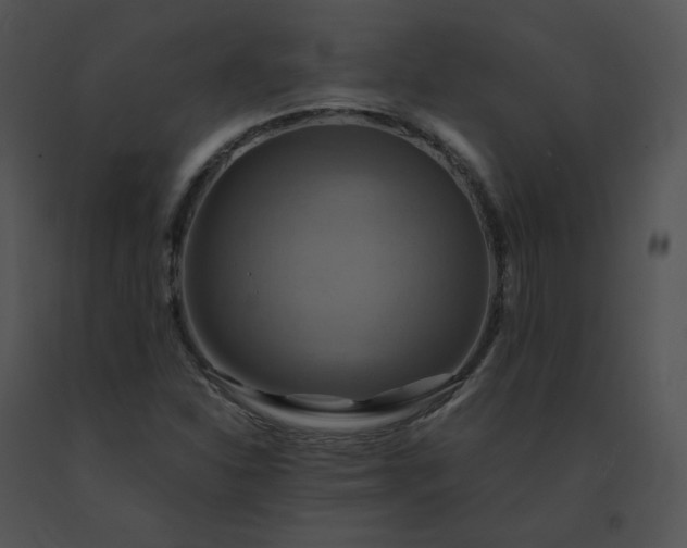 X0000091541310200708311323