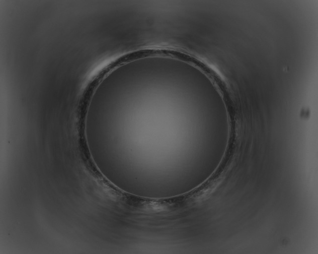 X0000091541311200708311323