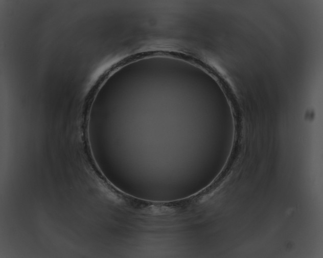 X0000091541312200708311323