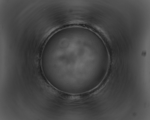 X0000091541313200708311323