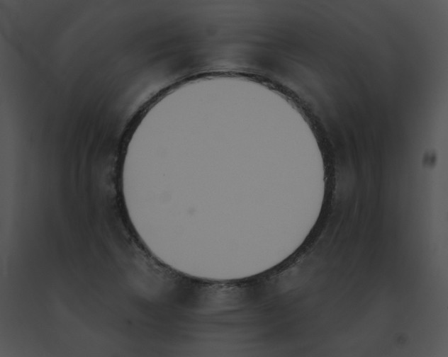 X0000091541314200708311323