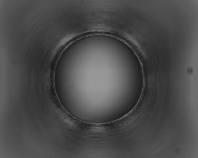 X0000091541315200708311323