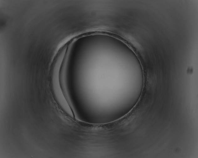 X0000091541316200708311323