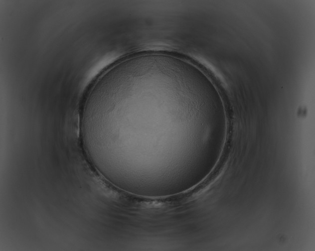 X0000091541317200708311323