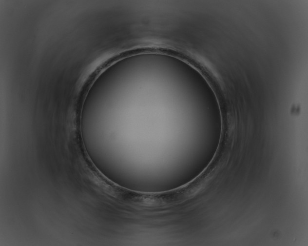 X0000091541318200708311323