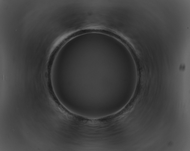 X0000091541319200708311323