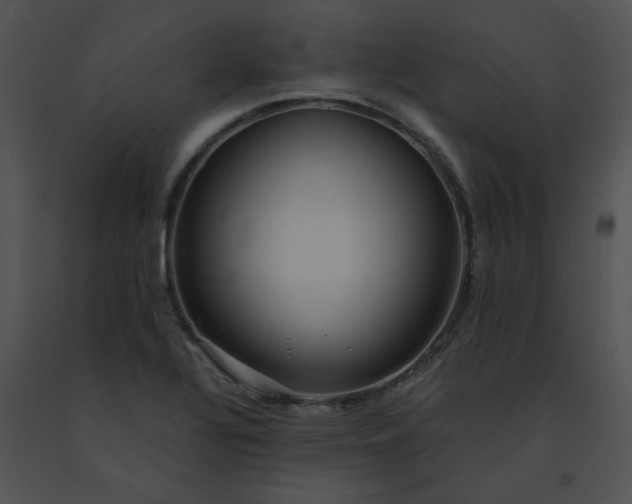 X0000091541320200708311323