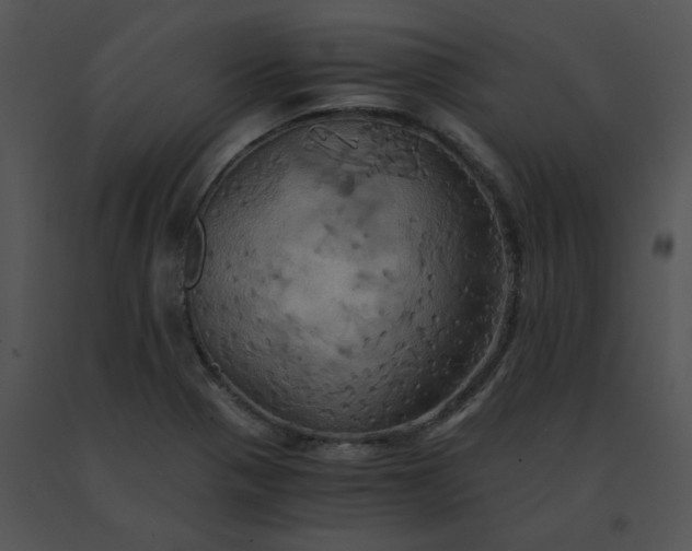 X0000091541321200708311323