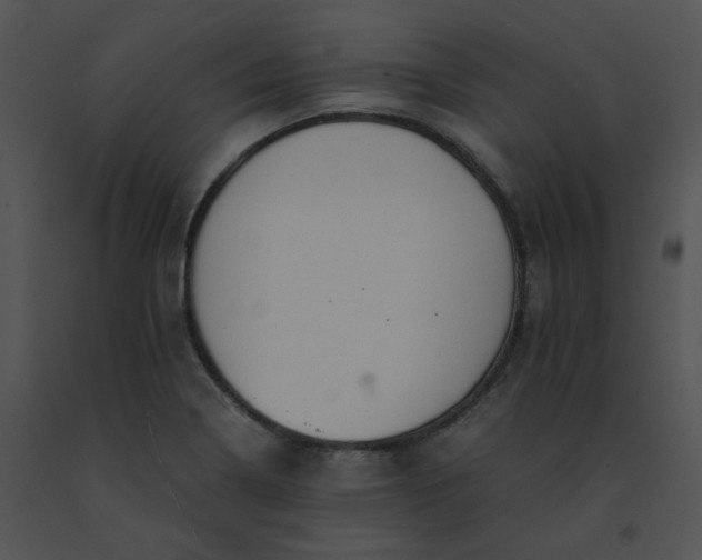 X0000091541322200708311323