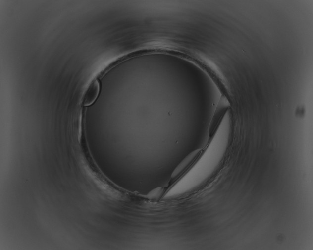 X0000091541323200708311323