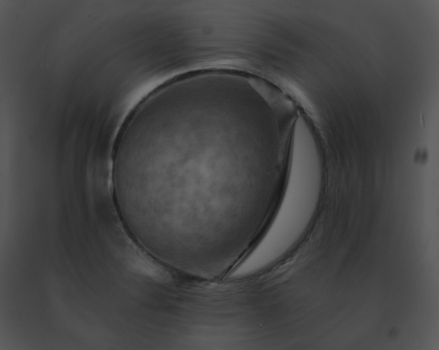 X0000091541324200708311323
