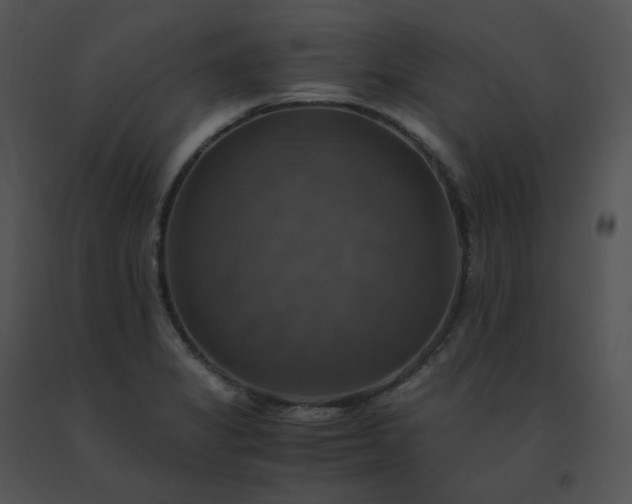 X0000091541325200708311323